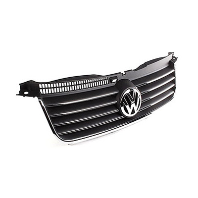 Griglia Radiatore con Modanature