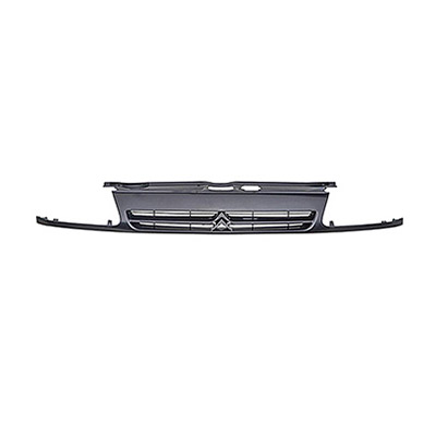 Griglia Radiatore con Primer