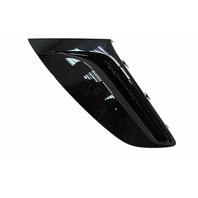 Griglia Sinistra Paraurti Anteriore