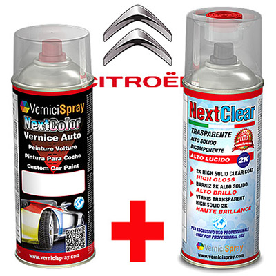 Pour Retouche Carrosserie Professionnel Kit Peinture Voiture Citroen Gsa Avec Vernis Brillant 2k Haute Brillance Et Peinture Dans Teinte Constructeur