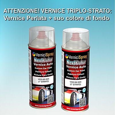 Vernice Spray per Ritocco Auto RENAULT SCENIC NNJ ROUGE DYNA MET.