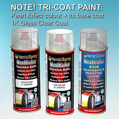 Touch Up Kit Spray FIAT 500 222B LUX FI222B 2011 EN