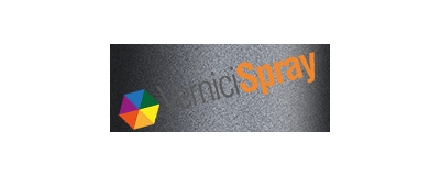 ZUC zuc medium graphite matt (interior) FORD USA MUSTANG 2017