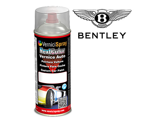 Vernice Spray Auto BENTLEY ARNAGE
