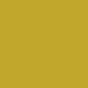 Y06