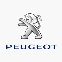 Scegli la tua vernice nel codice colore PEUGEOT 208